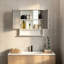 W H Medicine Cabinet Mirror