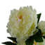 Plastic, Silk Peony Arrangement in Pot