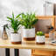 ZTHPOT Ceramic Pot Planter-865196237