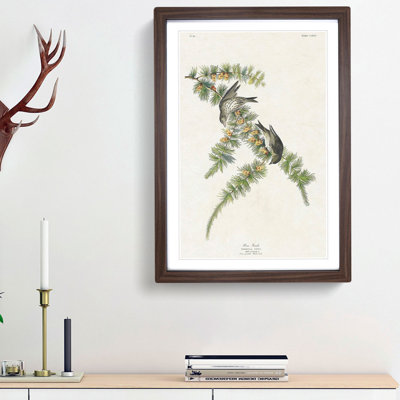 Pine Finches by John James Audubon - Framed Print