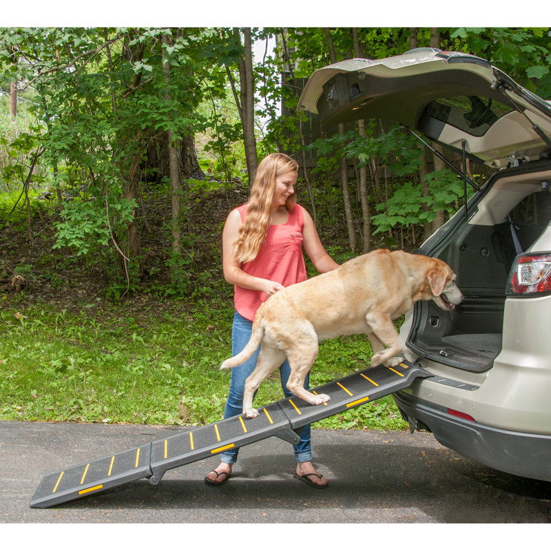 Black and Yellow Reflective Tri-Fold Pet Ramp
