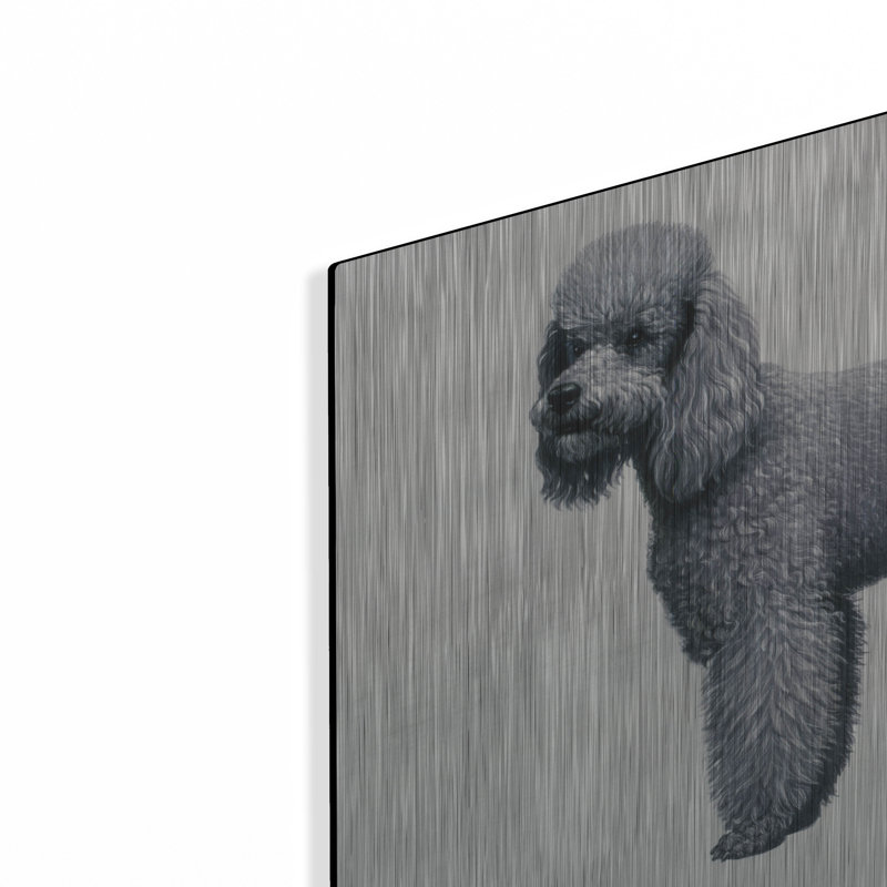 "Caniche" par Harro Maass, H 16 po x l 24 po