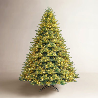 Noble 12' Pre-Lit Fir Christmas Tree