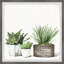 Magnifiques diptyques verts-2044025930
