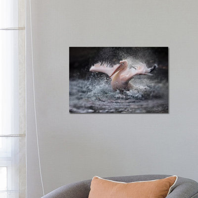 Bathing Fun ..... by Antje Wenner-Braun - Wrapped Canvas Print