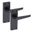 Straight Handle Latch Door