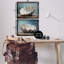 «Fresh Beach Finds Shells», ensemble de 2 toiles flottantes encadrées par Petal Prints Design-1151998434-1151998432