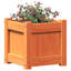 Ander Planter-1011546377-1011546372