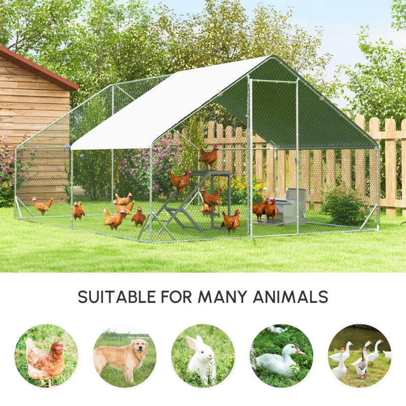 Walk In Chicken Coop For Up To 16 Chickens