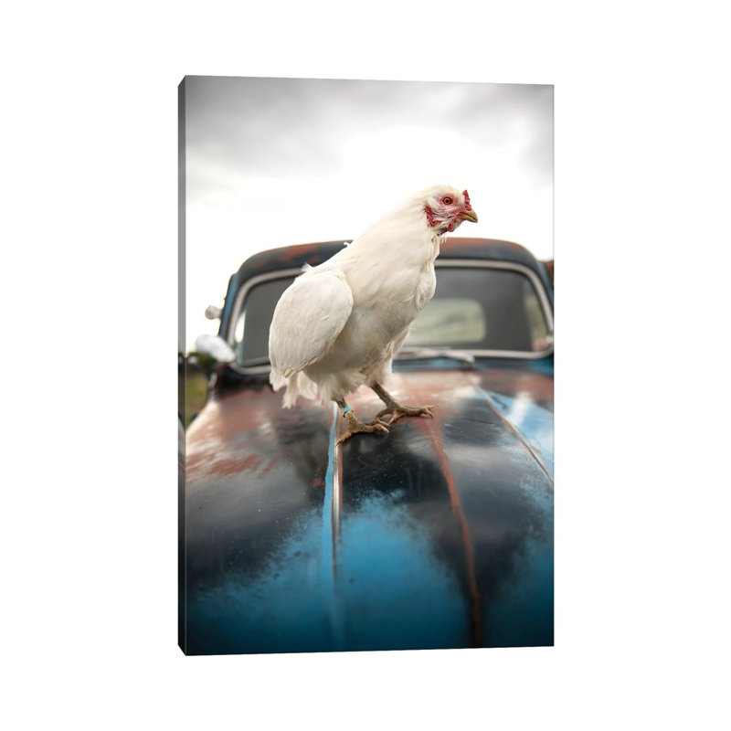 Storm Chicken - Wrapped Canvas Print, 66.04 cm H x 45.72 cm W