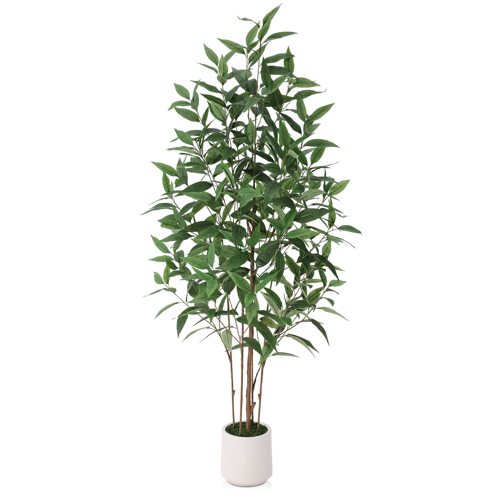 Ashwell Eucalyptus Tree in Planter, 60