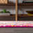Lathan Bohemian FLAIR Boho Vintage Medallion Pink/Cream Rug-1898051279