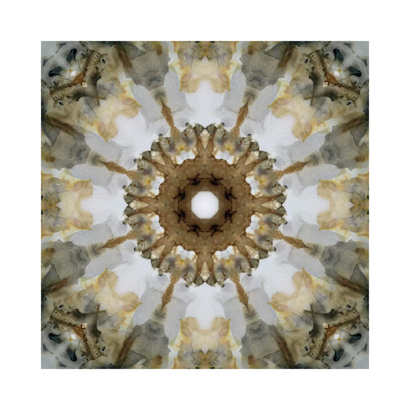Kaleidoscope Honey Grey Agate by Nan - Wrapped Canvas Print, 30.48 cm H x 30.48 cm W