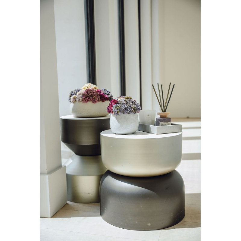 Deveraux Sedum Arrangement