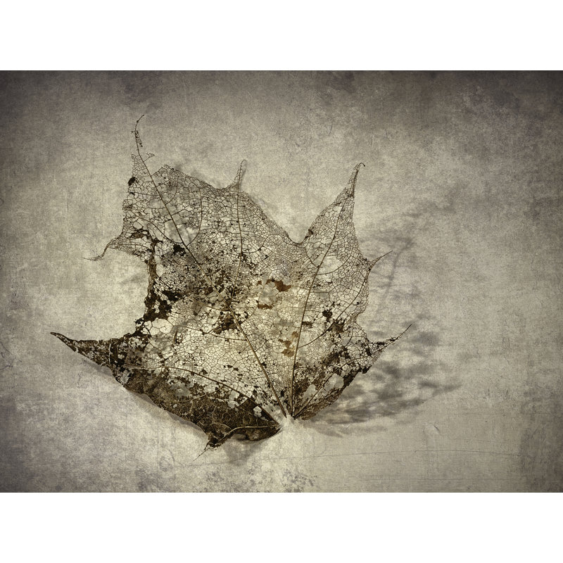I Miss You Most Of All Print by Scott Norris, Wrapped Canvas, 32" H x 24" W