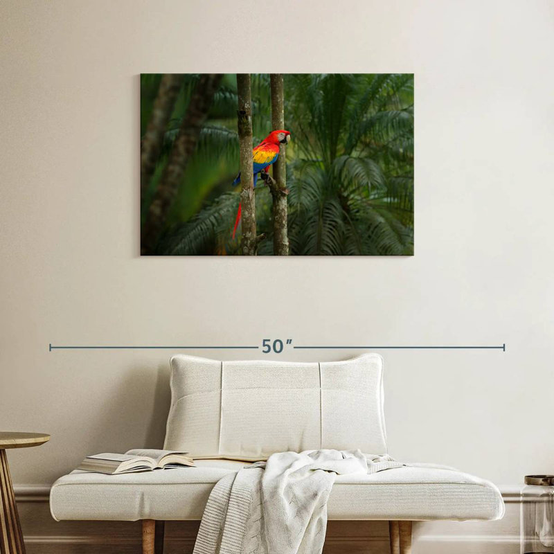 Brampt Wild Scarlet Macaw, 24" H x 36" W