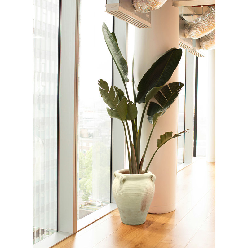 Loletta Clay Table Vase