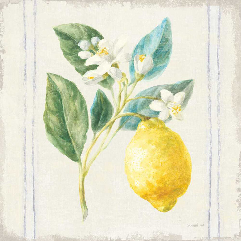 " Floursack Lemons I Sq Navy " by Danhui Nai Painting Print, 36" H x 36" W