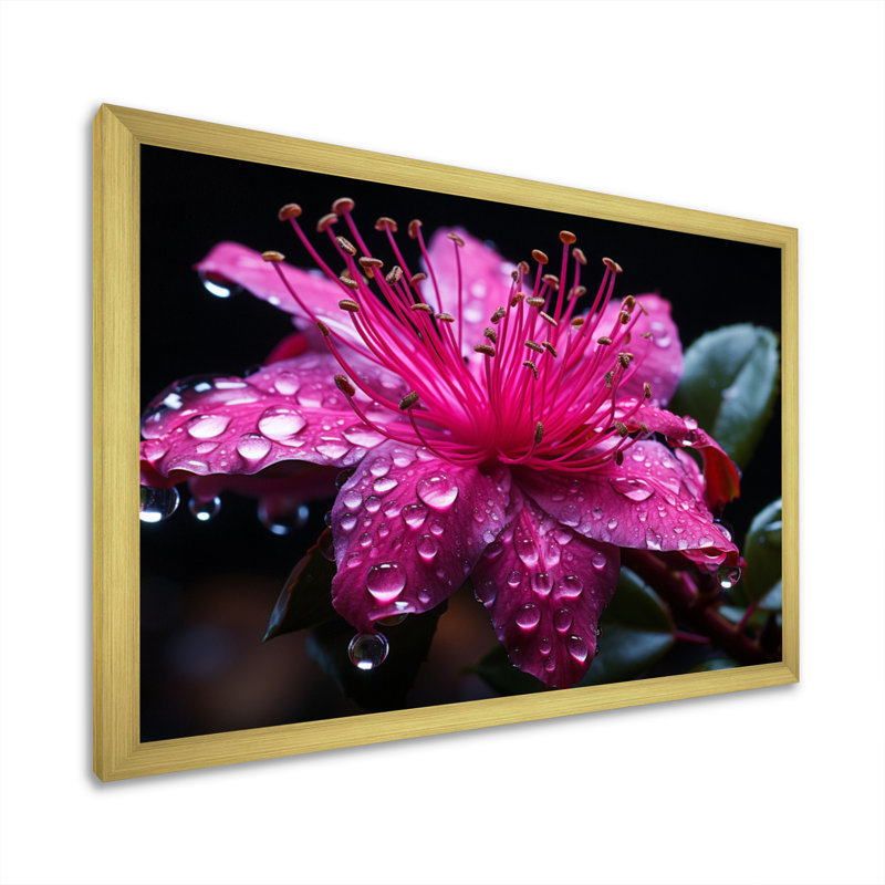 " Fuschia Vivacious Flowers I ", Gold Single Picture Framed, 34" H x 44" W x 1.5" D