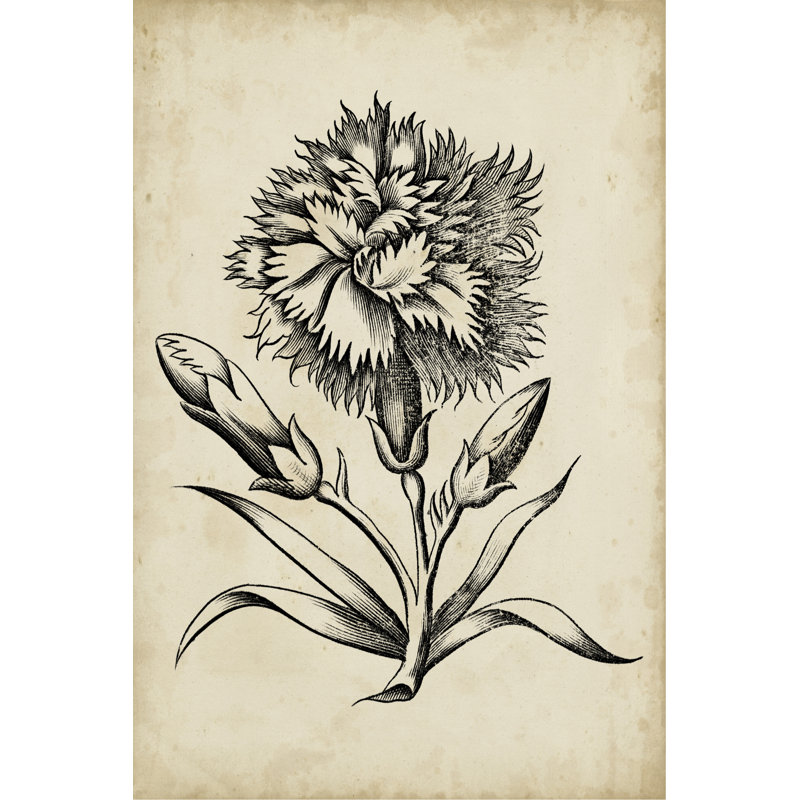 Distinguished Floral III - Painting on Canvas, 46cm H x 30cm W, Wrapped Canvas