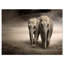 Paire d'éléphants, mouvement - impression-35105254-35105263