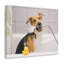 «Cute Mongrel Bath», art mural sur toile-302070443