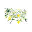 Lemon Branch 1 Piece Wrapped Canvas Painting-337726822