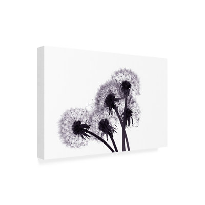 All-Weather Canvas Plants & Flowers Wall Decor