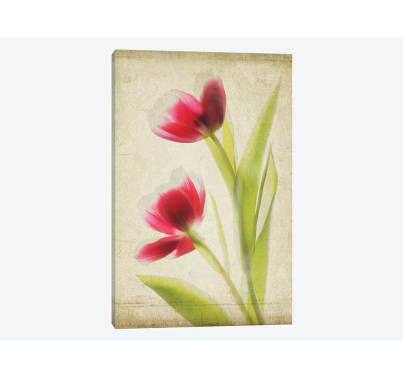« parchemin florals iii », impression sur toile, H 18 po x l 12 po x P 1,5 po, Toile tendue, Pas de tapis