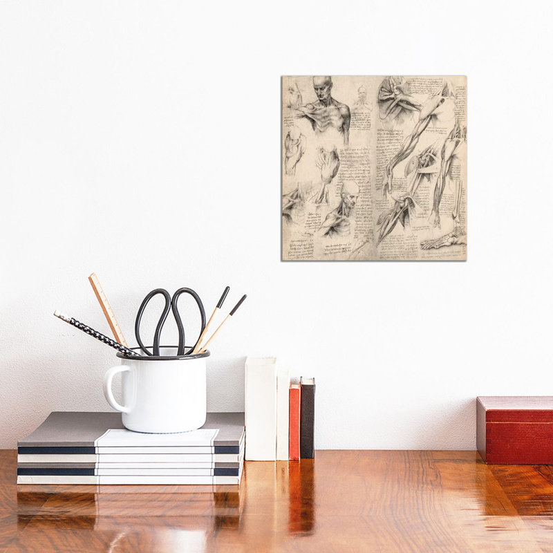 Sketchbook Studies Of Human Body Collage by Leonardo Da Vinci - Wrapped Canvas Print, 30.48 cm H x 30.48 cm W