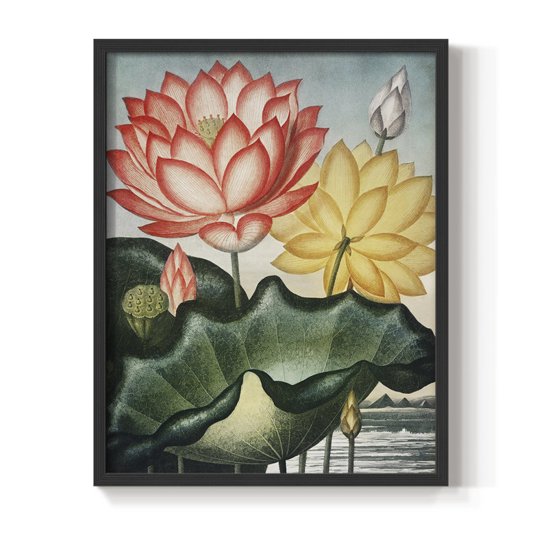 Temple of Flora V, reproduction encadrée - bois massif, Noir, H 10 po x l 8 po