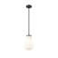 Luminaire suspendu 1 lumière Burstyn-782178296