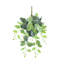 Plante artificielle suspendue lierre Fittonia-1307679575