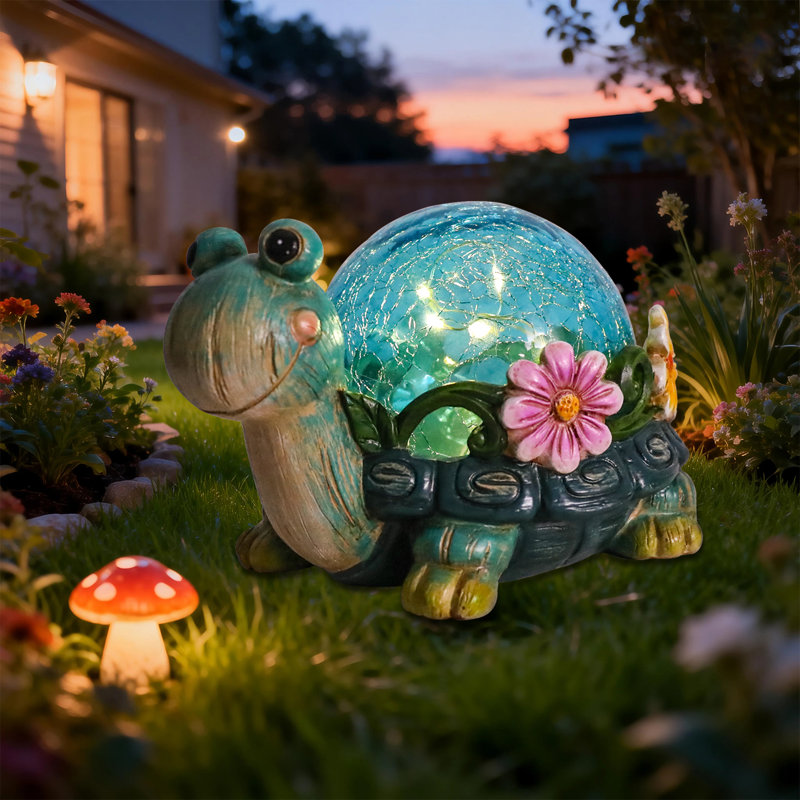 Tortues de jardin Nathoo
