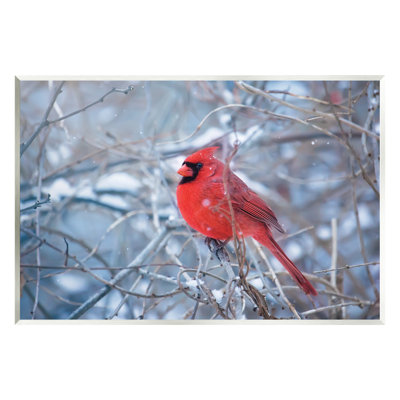 «Cardinal In Winter Branches On MDF» par Karen Burke, reproduction