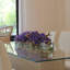 Driftwood Vanda Orchids Centerpiece in Glass Planter