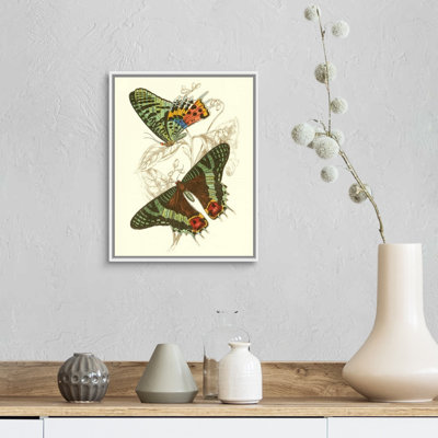 «Jardine Butterflies IV» par Jardine William, reproduction d'art sur toile
