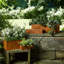 Set Of 4 Window Box With Rusted Metal Finish