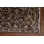 Tapis beige en laine noué à la main de conception unique des années 1960 8 pi 4 po x 10 pi 11 po Huascar