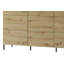 Nampreet 3-Door Sideboard