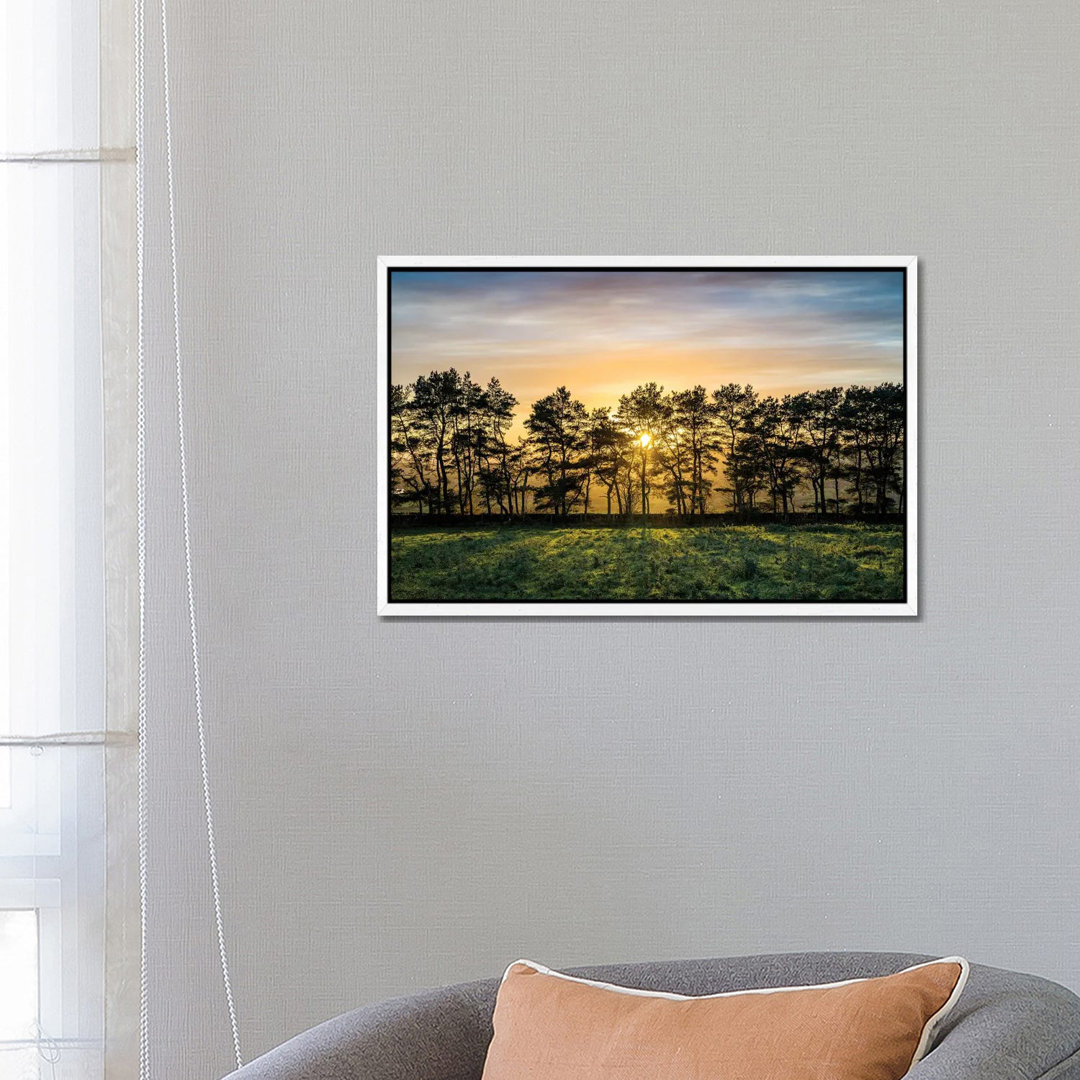 Herbstbaum Peak District UK von Stephen Hodgetts - Galerie-verpackte Leinwand Giclée auf Leinwand