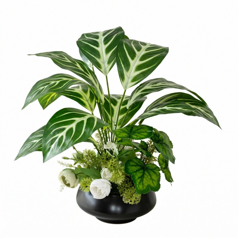 Arrangement