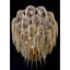 Lustre rond clair en laiton massif à fleurs Protea-89795588-89795604-130690183