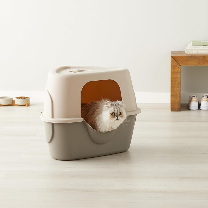 Litière pour chat avec couvercle gris anthracite unisexe standard