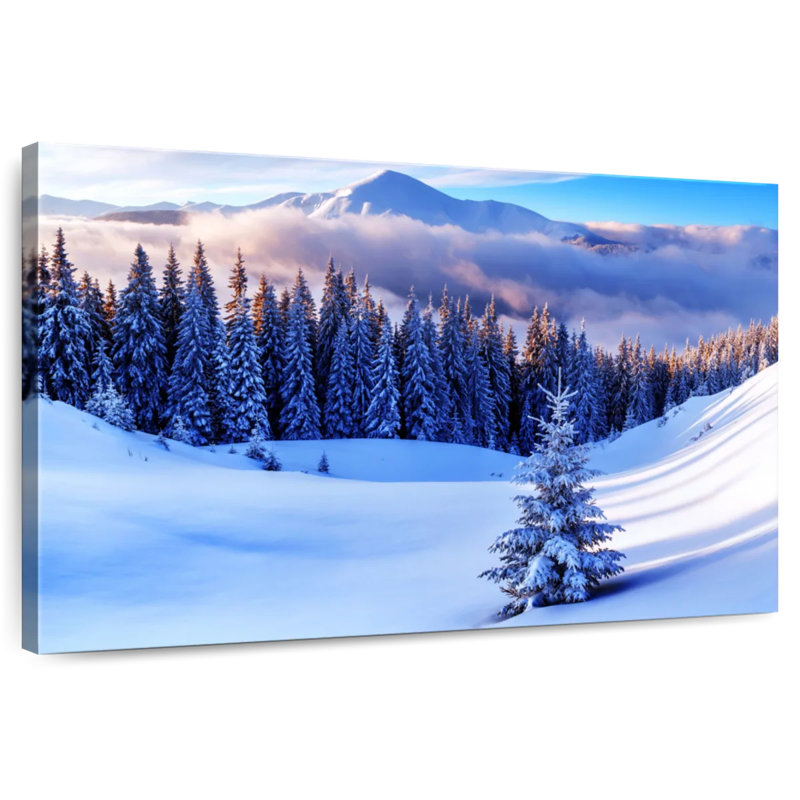 Alvord Small Winter Fir Tree, 26" H x 39" W