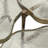 Baldovini Glass Top Nesting Coffee Table