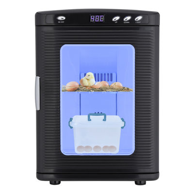 Incubateur noir 25L pour œufs à couver Incubateur portatif 12V / 110V Incubateur scientifique Refroidissement et chauffage