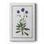 Soft Botanical II Soft Botanical II par - Peinture sur
