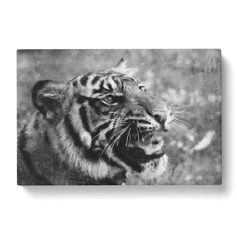 Tiger Vol.4 - Wrapped Canvas, 35cm H x 50cm W x 3cm D