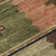  Cerrito Area Rug